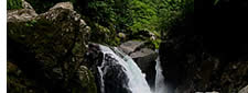 A waterfall in Panama
